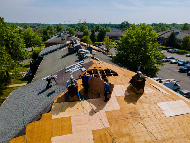 24/7 Emergency Flat Roof Repair experts in London, CA